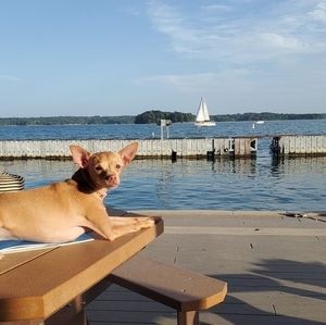 Meet your Posher, Michael